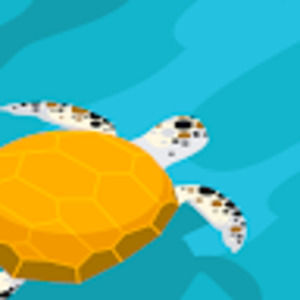 Meet your Posher, Stella